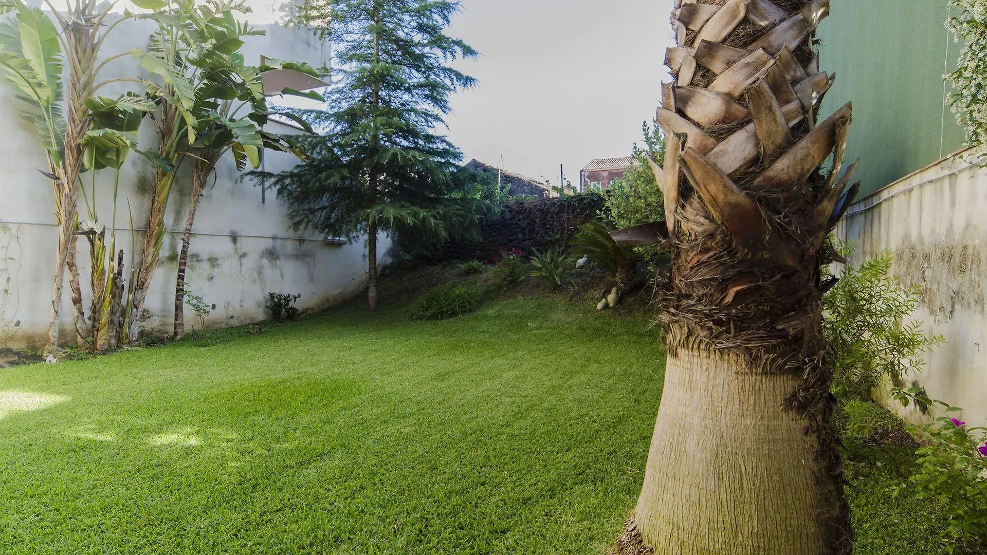 Residence Acquamarina Stazzo Apartment